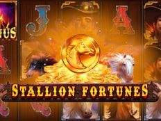 Слот Stallion Fortunes
